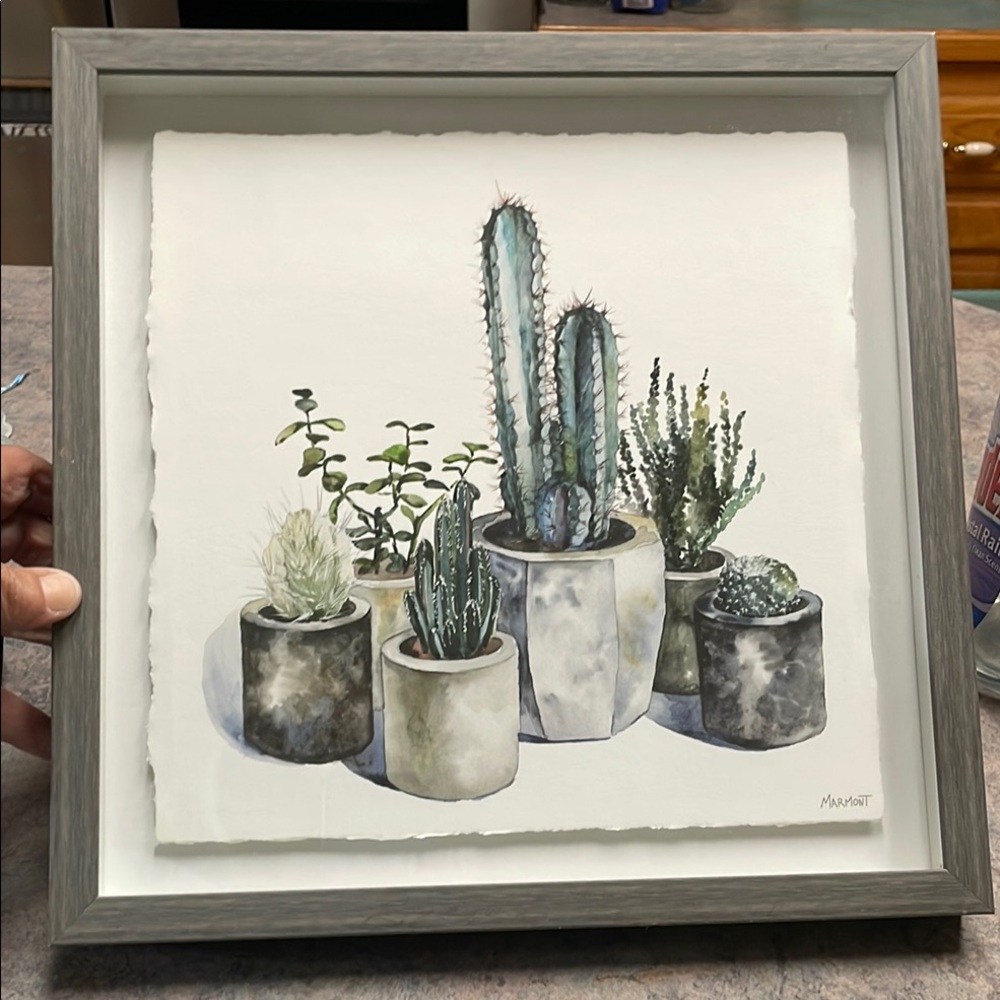 Framed Cactus Art Print - Picture 13 of 13